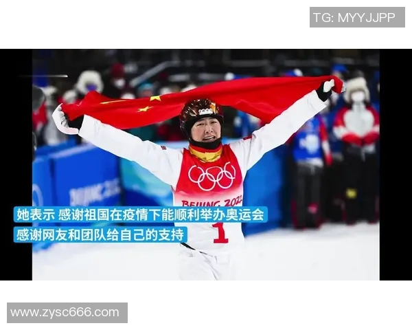 深圳羽毛球队的拼搏历程与奥运梦想的追逐之路