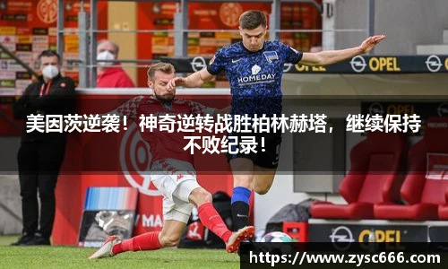 3377体育官网