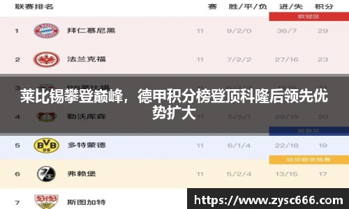 3377体育官网