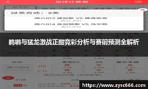 3377体育