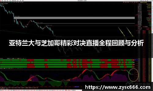 亚特兰大与芝加哥精彩对决直播全程回顾与分析
