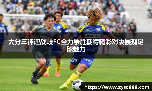 3377体育官网
