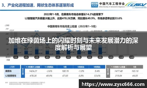 3377体育官网